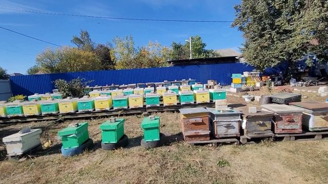 ф.20.перевозим матерял на заготовки рамок.