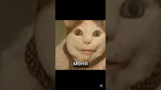 Бу испугался не бойся!😼