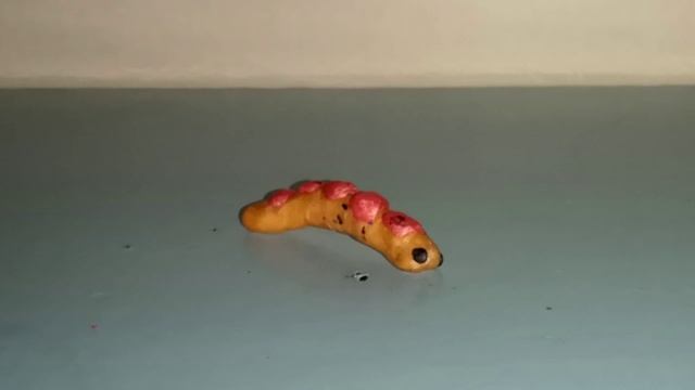 гусеница