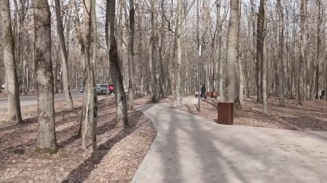 Прогулка в лесу в районе Мэздаха. Очень красиво и необычно.