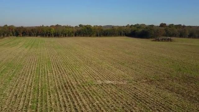 Сельскохозяйственное поле...