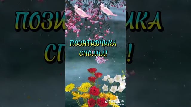 VID-20250112-WA0009