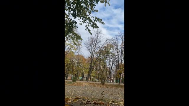 Покатушка №1