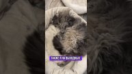Отдохнул на выходном