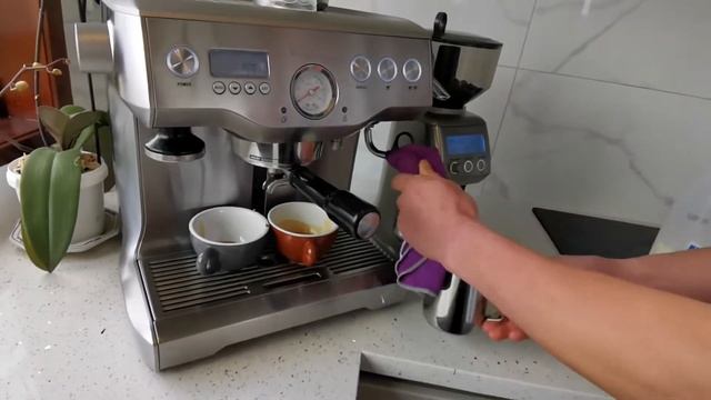 Rosetta | Latte art | Breville Dual boiler coffee machine | At home