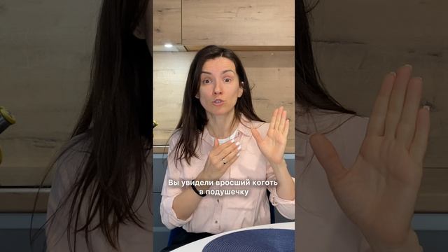 Три способа понять, что питомцу пора стричь когти