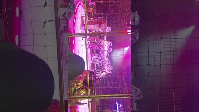 1000008658.mp4