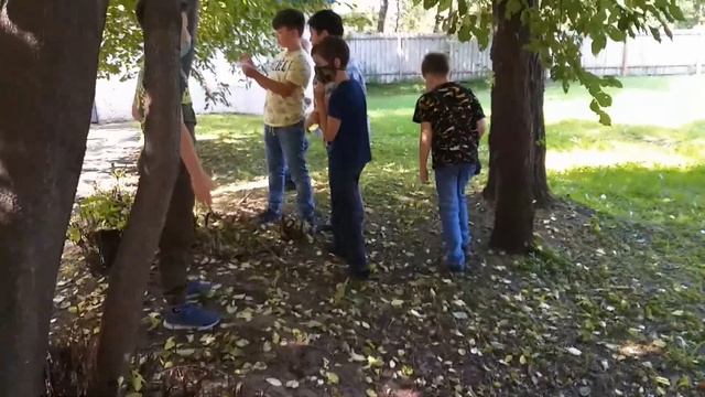 Квест-игра "Секрет"