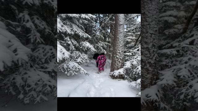 Охотники на заячьей тропе в Карелии