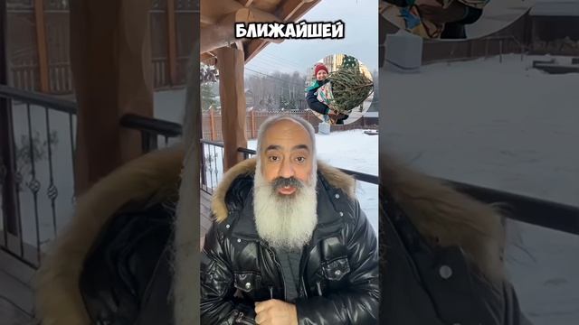 🎄 Куда деть ёлку после праздников?