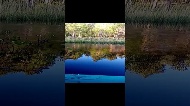 VID_20240615_200613.3gp