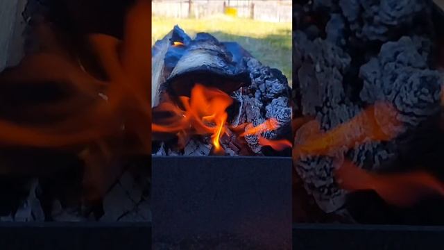 1000031079.mp4
