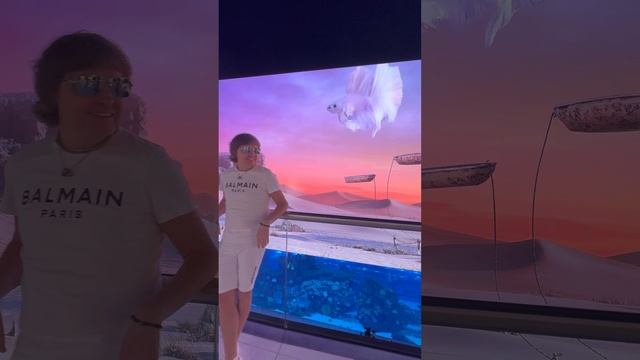 Сергей Серков в Дубае
10 января 2025 г.