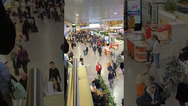 Аэропорт Пулково закрыли из-за сильного снегопада.
Приём и отправка всех рейсов остановлены. Больш