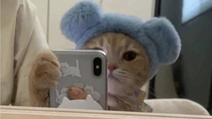 рандом 4к+