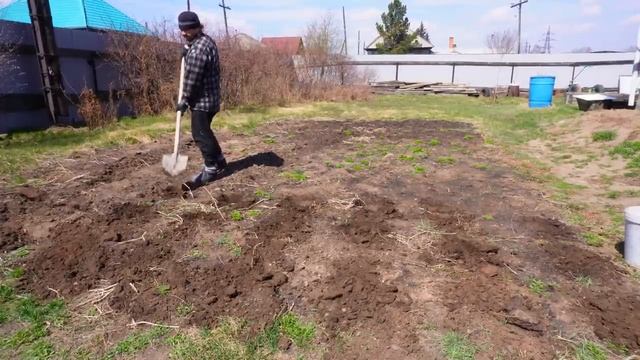 Утро в селе кормлю собаку и завтракаю сам Сажу картошку ПО-ДЕРЕВЕНСКИ а мама убирает сухие ветки САД