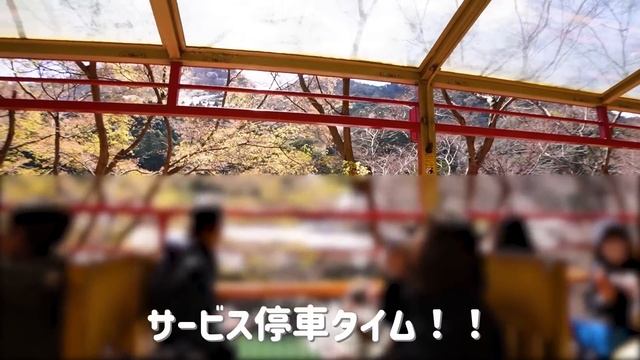 sub)京都観光 嵯峨野トロッコ列車に乗って嵐山を満喫