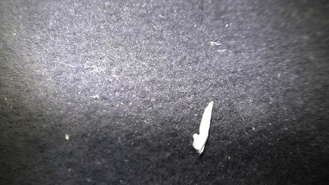 Audi Q5 не работает регулировка сиденья