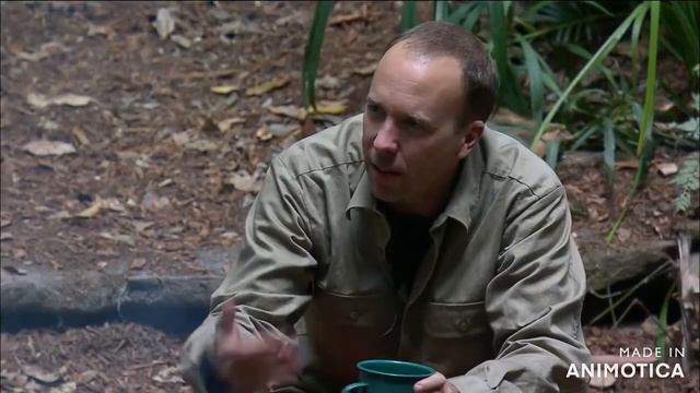 YTP I'm A Celebrity Get Me Out Of Here