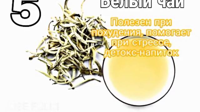 Топ 10 лучших чаев от болезней 🍵