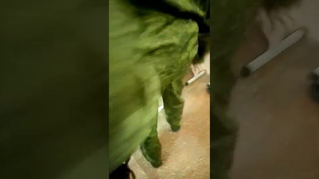 сломали парту в школе