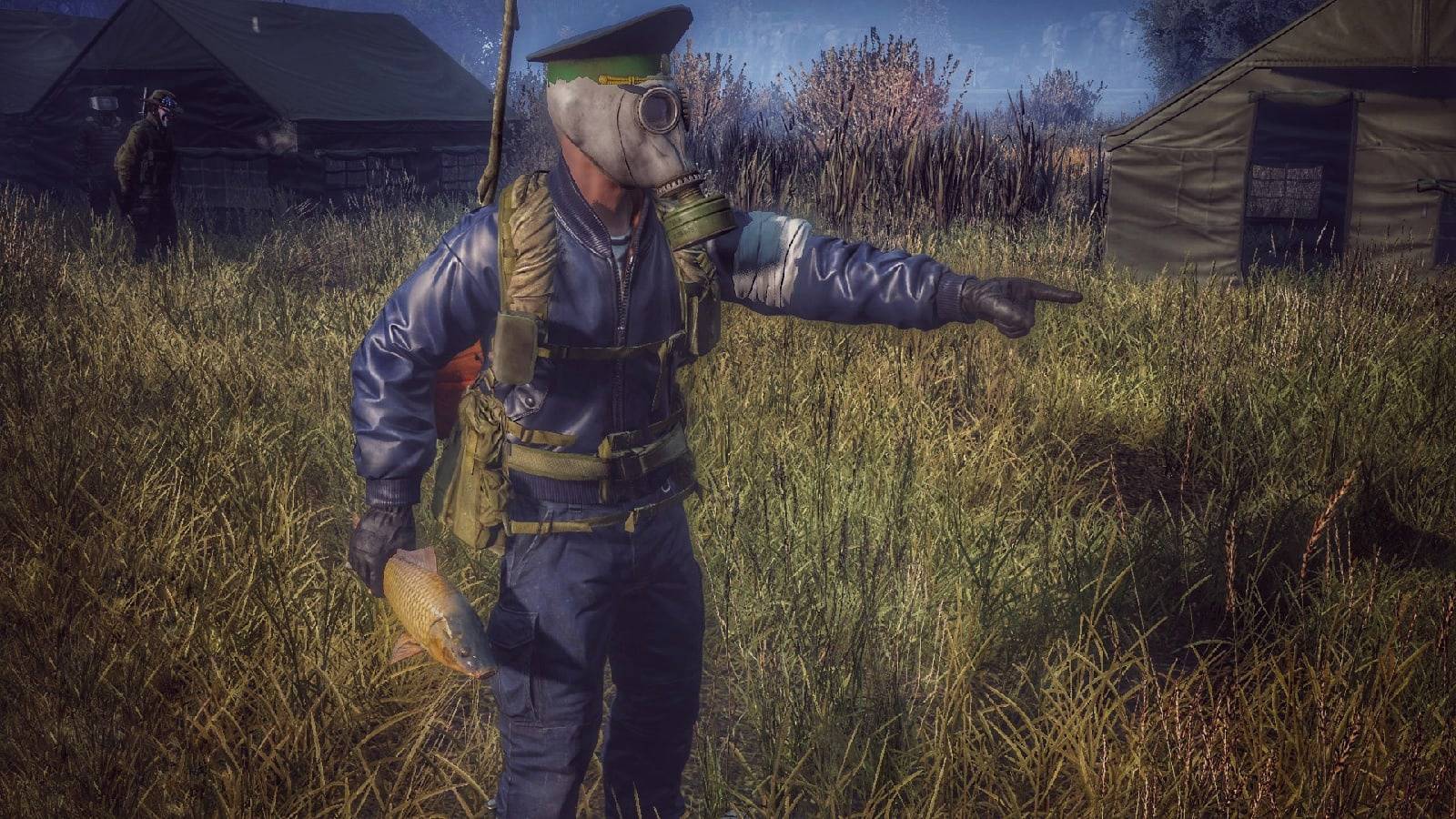 dayz