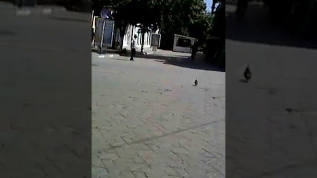 2014.07 Симферополь угол Пушкина и Маркса - "Кресты", летняя застройка