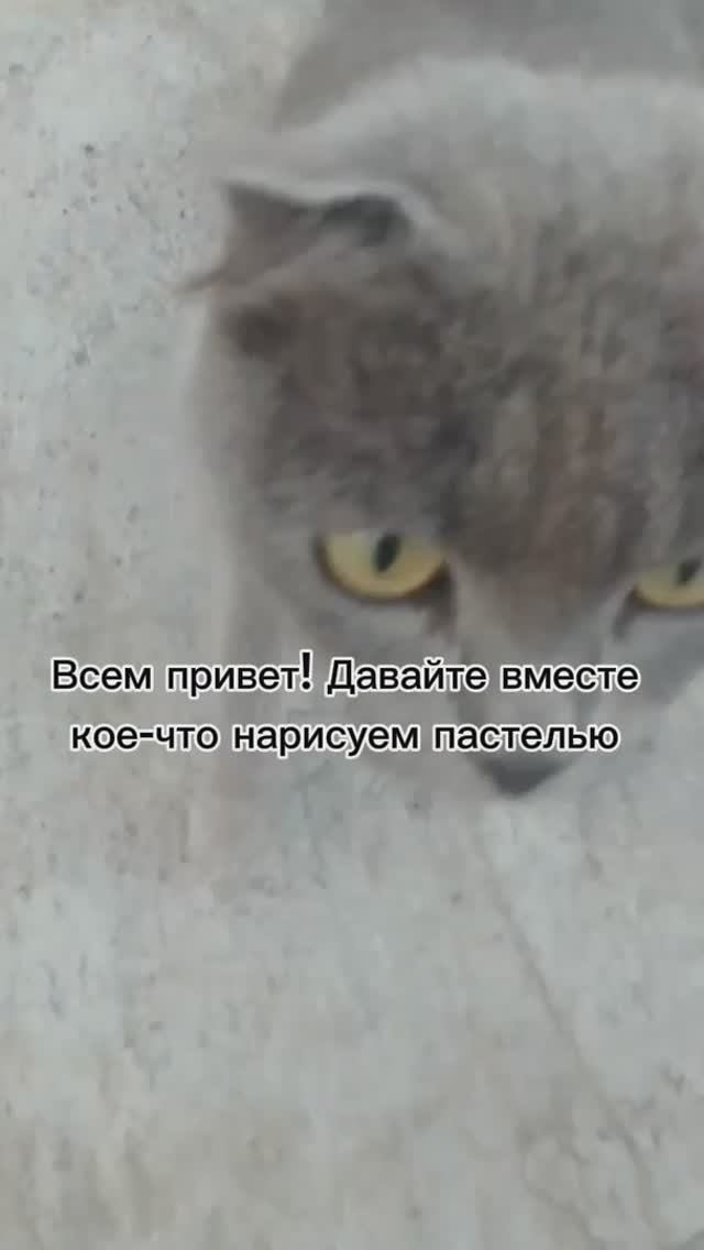 Делаем задания по художественной школе
