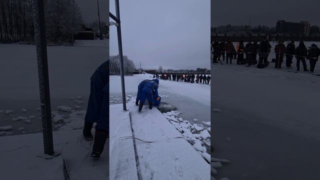 Запуск форели
