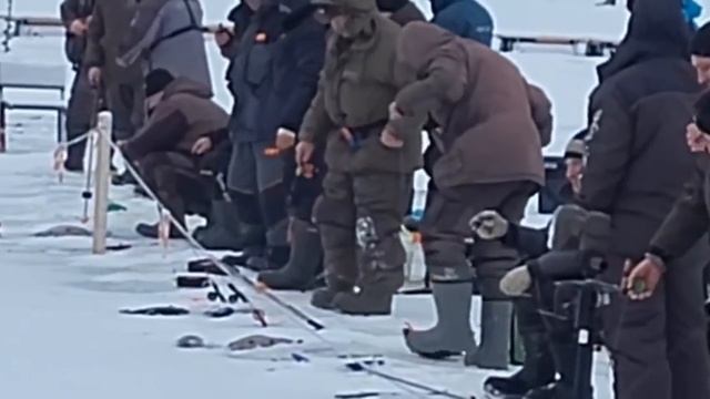 Запуск Спорт зона 12.01.25