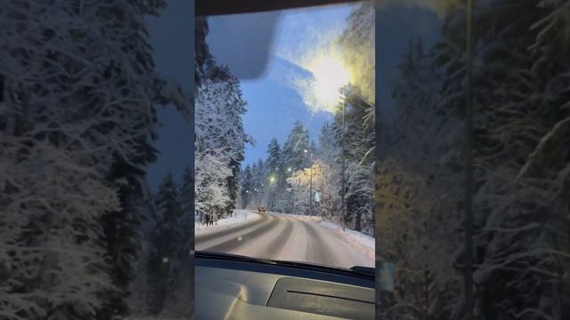 Сказочная зима в Ленинградской области❄️#shorts