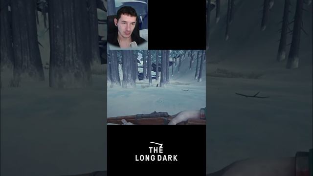 The Long Dark: Охота на волка