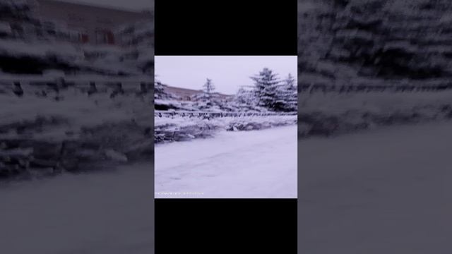 1000012969.mp4