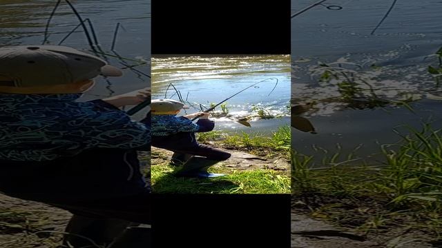 Глеб и голавль.
