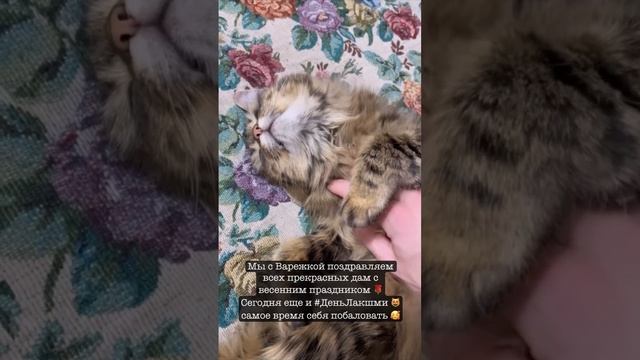 С праздником весны ☀️