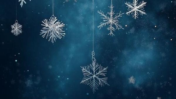 выполнила одно из  тренировочное упражнение для мультипликаторов