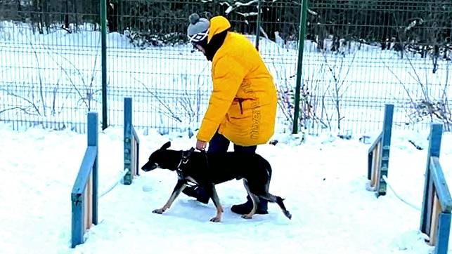 Тренировка с Рокки и обзор диеты: неделя 10