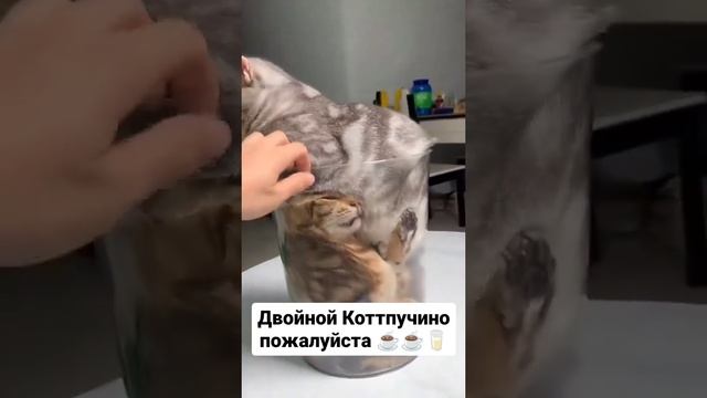 Двойной Коттпучино