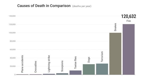 Reasons and frequency of human mortality