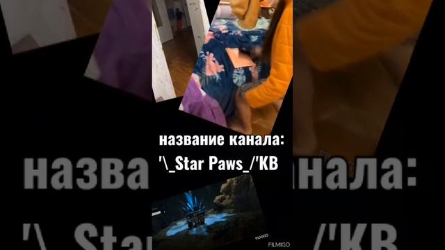 подпишитесь на канал: '\_Star Paws_/'КВ