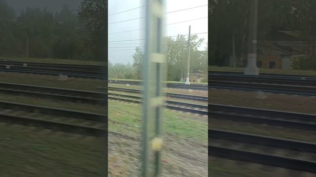 станция Любань из окна поезда