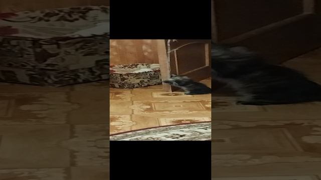 1000003012.mp4
