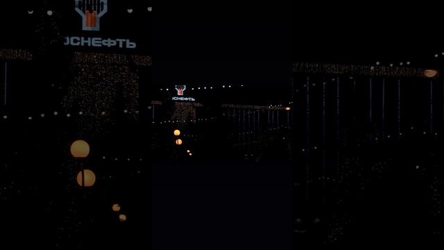 VID_111640619_173812_544.mp4