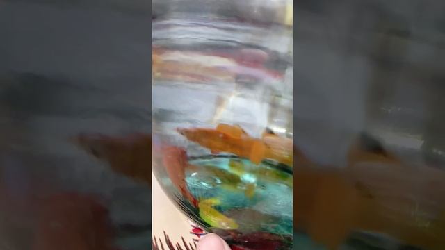 1000079215.mp4