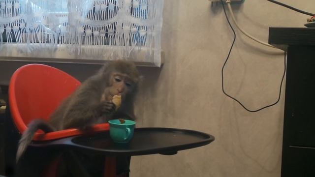 У Маруси свой способ кушать блины с чаем)))
