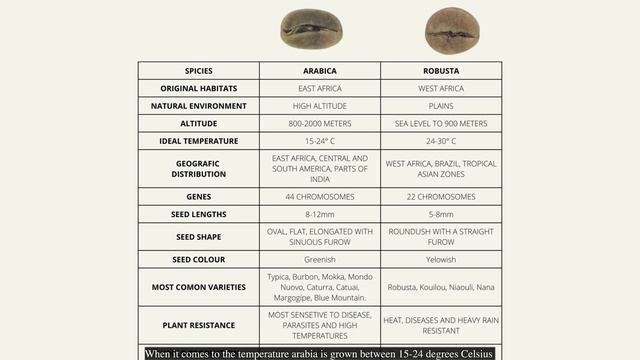 SCA CSP Introduction to coffee online classes!- Ep 3/10 Arabica vs Robusta