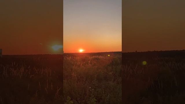 Обратная сторона Москвы #новаямосква