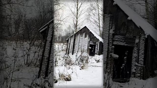 Морозное дыхание зимы | Natures Quiet Retreat