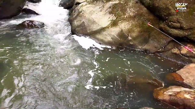 mancing uceng di curuk 7bidadari semarang , penggemar mikro fishing wajib nonton !!