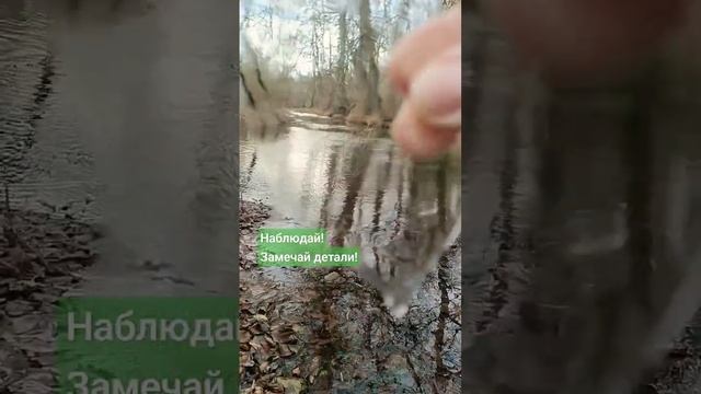 травяной сбор, чай Ветер
